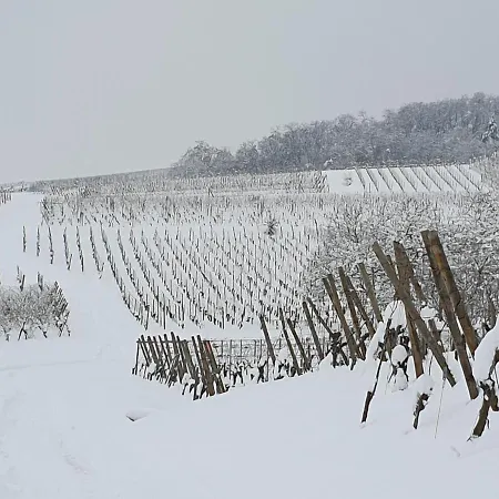 Des Seigneurs 2 Apartament